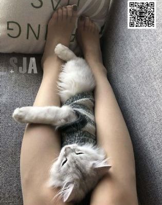超高级巨乳风俗女在线观看_超清电影在线看