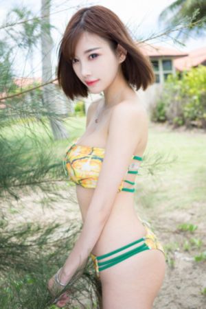 ae软件教学视频教程_全集无删减版高清免费观看